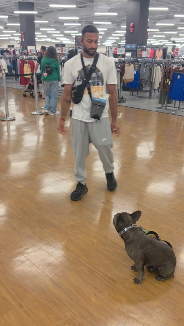 🚨 This Frenchie used to be distracted by EVERYTHING.